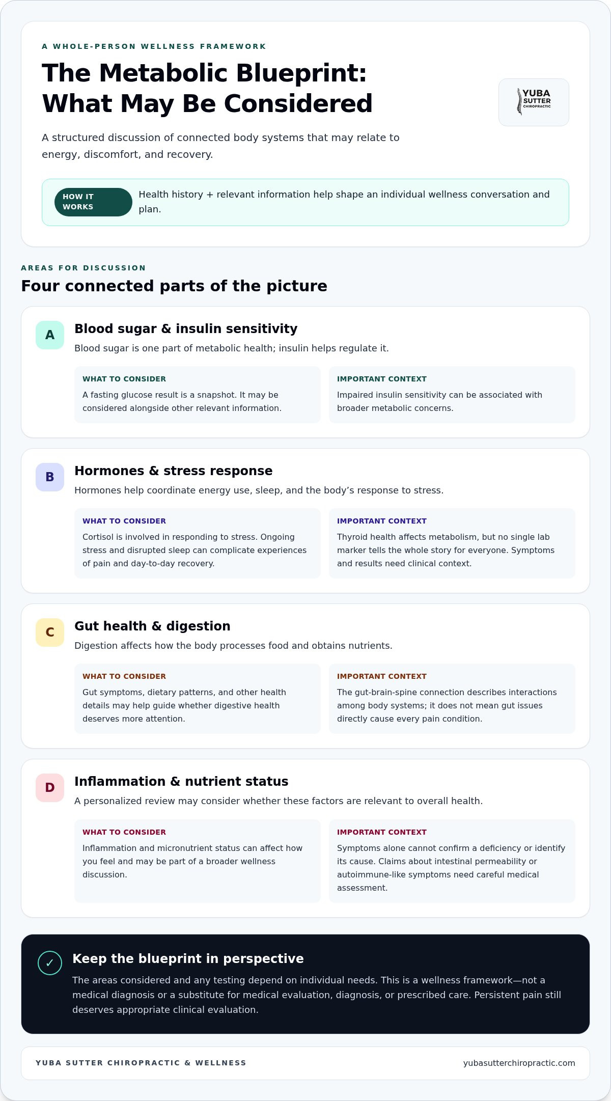 Understanding the Blueprint Metabolics Program: A Guide to Root-Cause Wellness in 2026